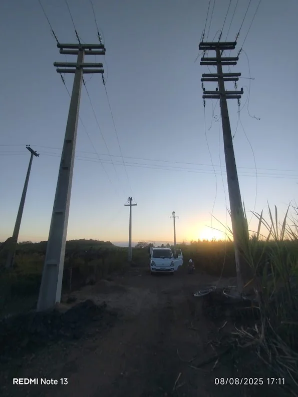 Rede elétrica ao pôr do sol na Usina Monte Alegre